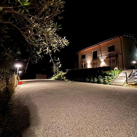 Eri Tra Gli Ulivi Apartment Loro Ciuffenna Exterior photo